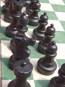 black chessmen on a green and white chess board