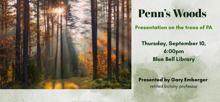 Penn's Woods